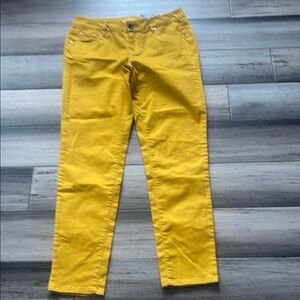 APT. 9 Modern Fit Womens Skinny Leg Pants Size Stretch Yellow Chino Size 4R